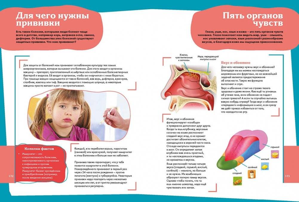 Лучшая энциклопедия для маленьких любознашек фото книги 5