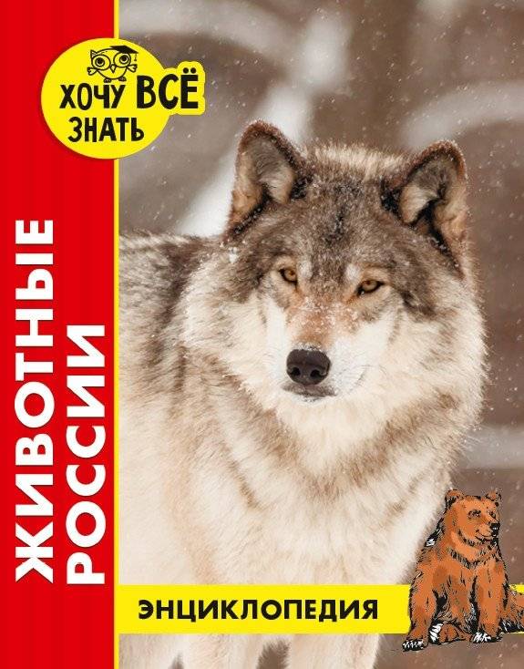 Энциклопедия. Животные России фото книги