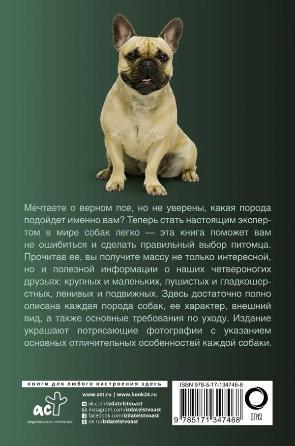 Собаки. Популярный иллюстрированный гид фото книги 2