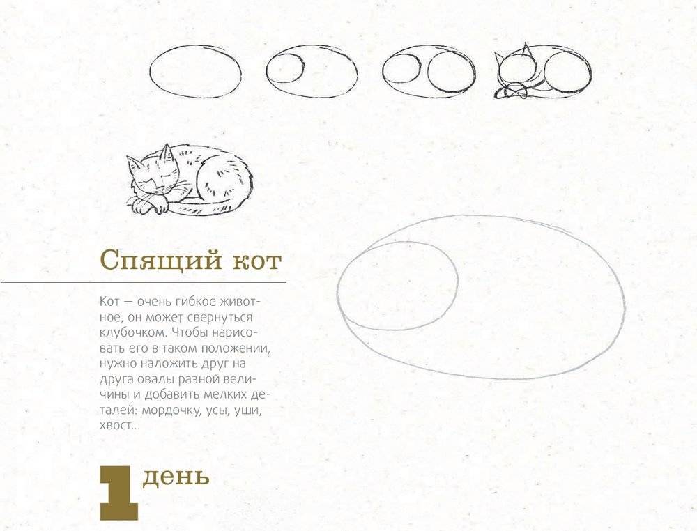 365 дней рисования. Пошаговые техники для начинающих художников фото книги 15