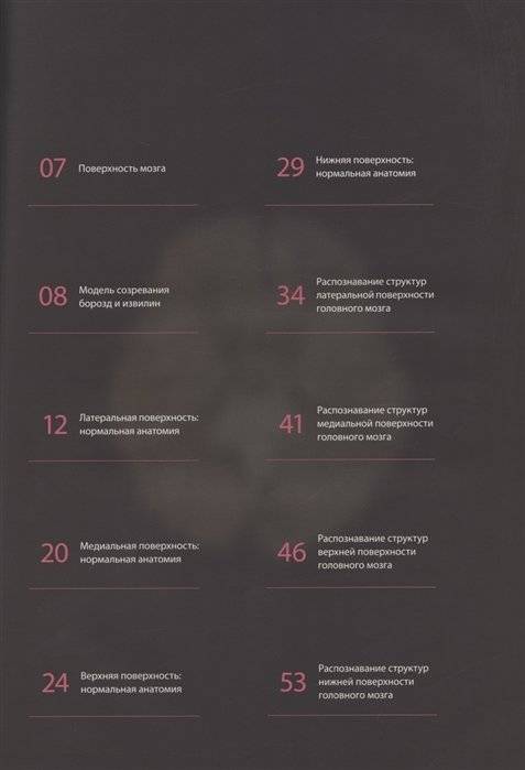 Атлас нормальной анатомии поверхности головного мозга при МР-томографии фото книги 3