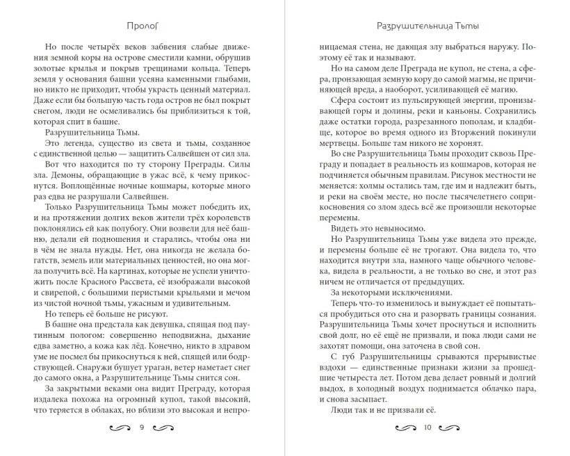 Разрушительница Тьмы (#1) фото книги 4