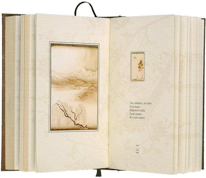 Лирика фото книги 4