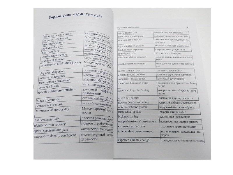 Упражнения для синхрониста. Умильные мордочки енотов. Самоучитель устного перевода с английского языка на русский язык фото книги 3