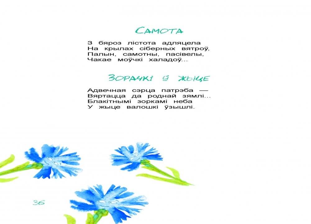 Вясёлы калаўрот фото книги 7