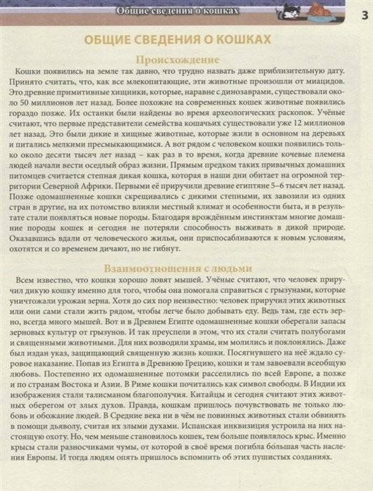 Энциклопедия. Кошки фото книги 4