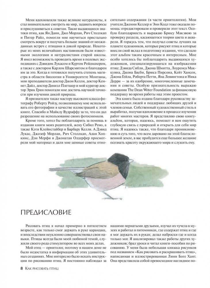 Как рисовать птиц. Руководство фото книги 6