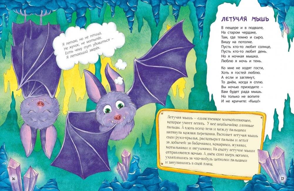 Расскажу вам о себе фото книги 4