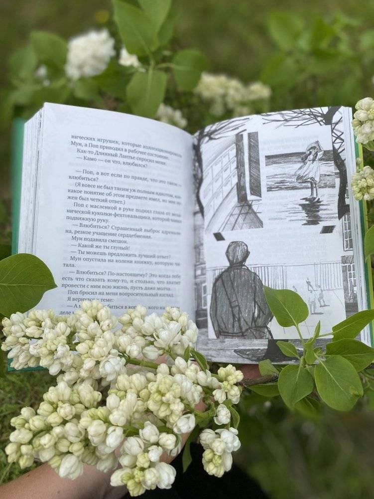 Приключения Камо фото книги 2