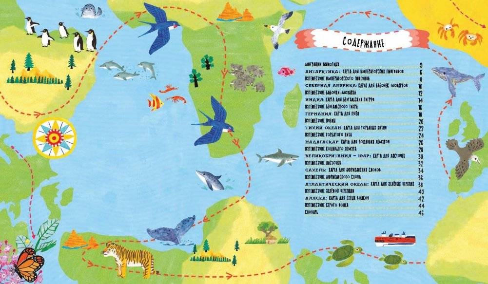 Куда идут пингвины. Маршруты миграции животных фото книги 5