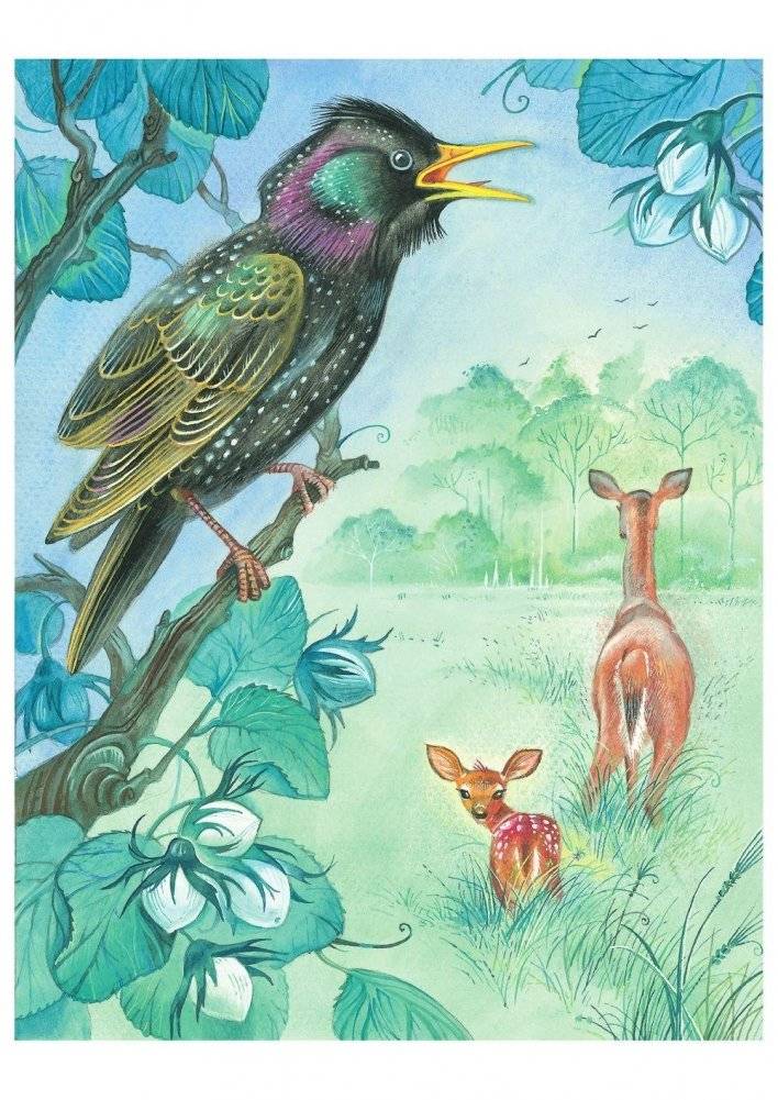 Бемби фото книги 10