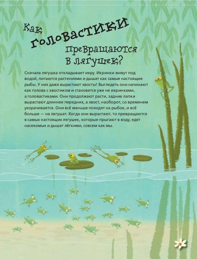 Живая природа в вопросах и ответах фото книги 9