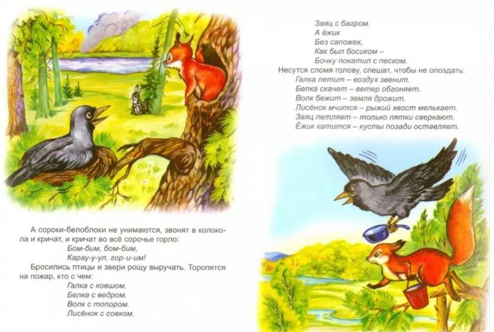 Как Миша на рыбалку ходил фото книги 2