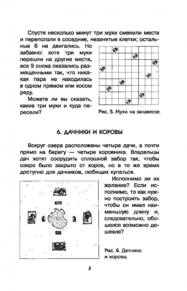 Головоломки и задачи фото книги 9