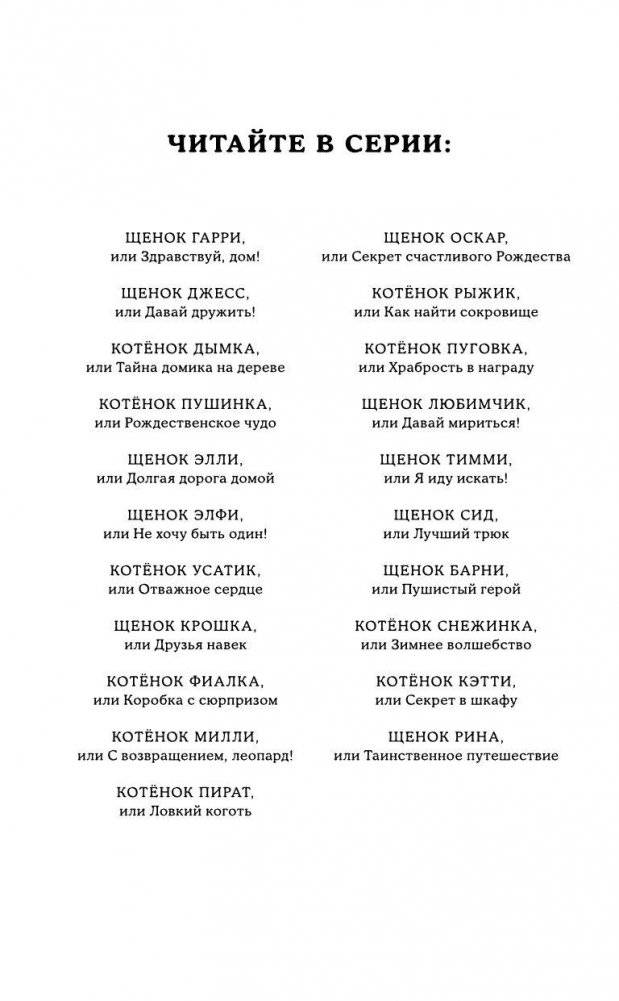 Щенок Рина, или Таинственное путешествие фото книги 4