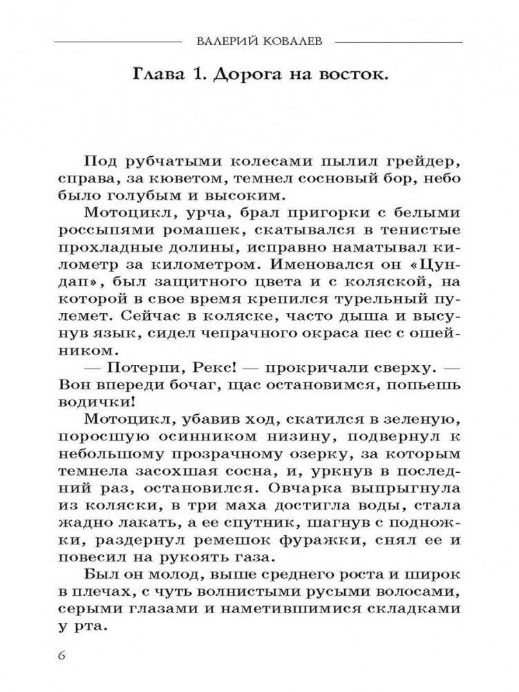 Чистильщик фото книги 4