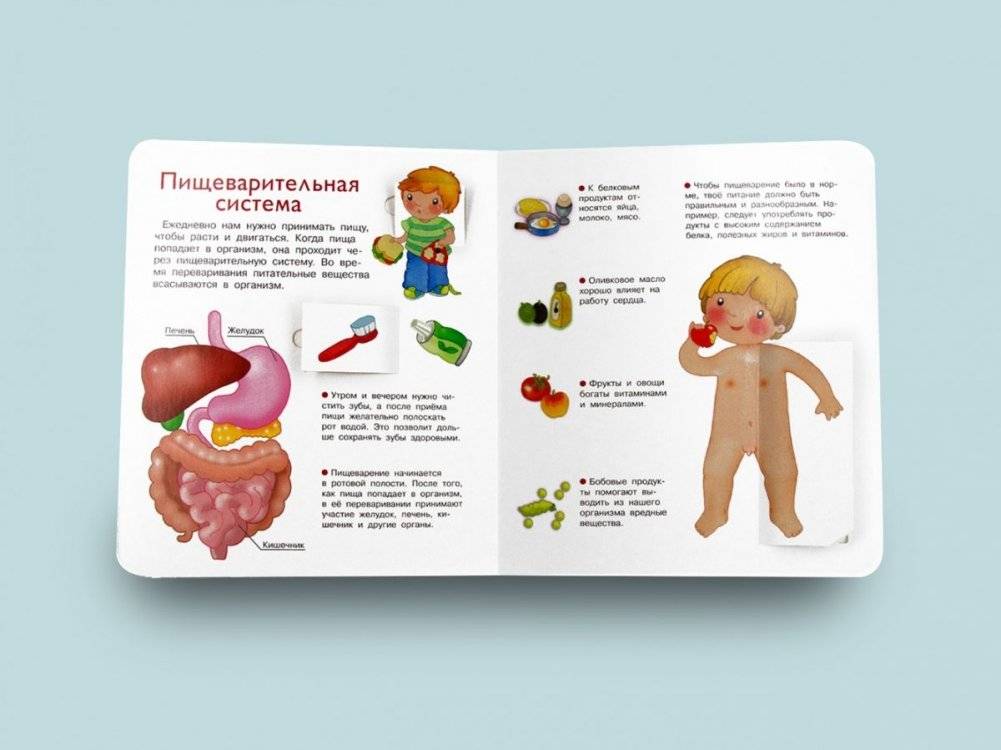 Что? Почему? Зачем? Наше тело фото книги 4