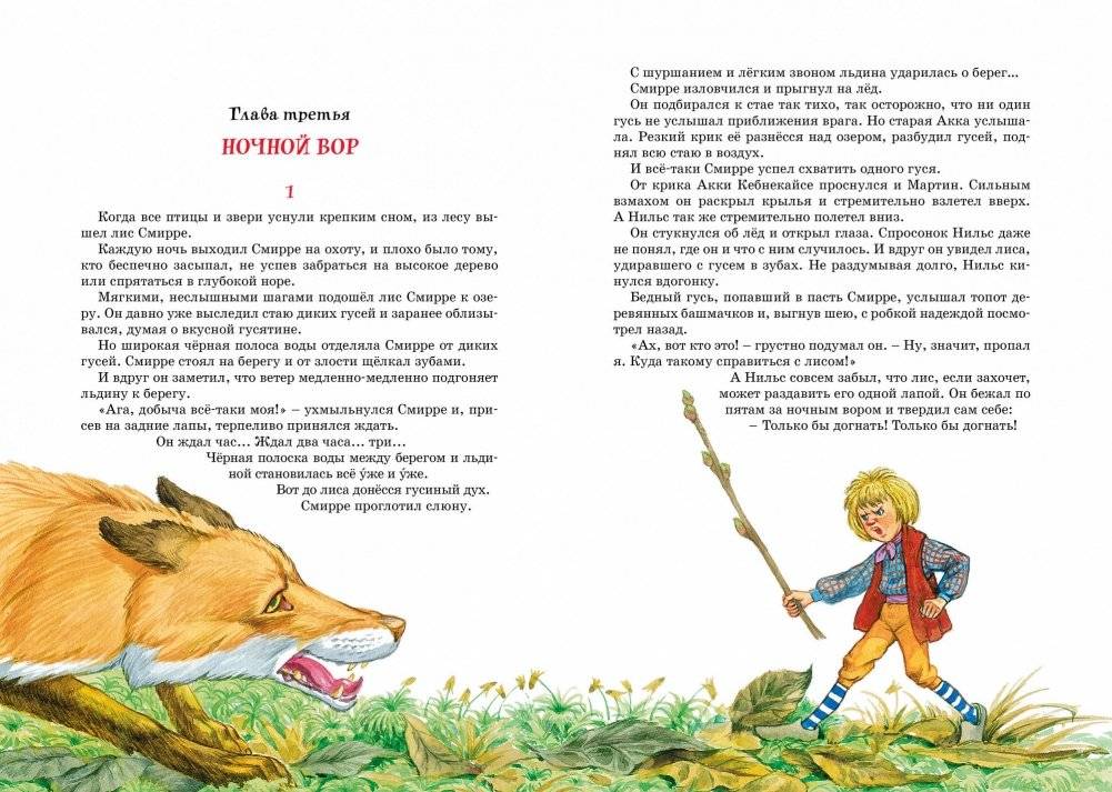 Чудесное путешествие Нильса с дикими гусями фото книги 4