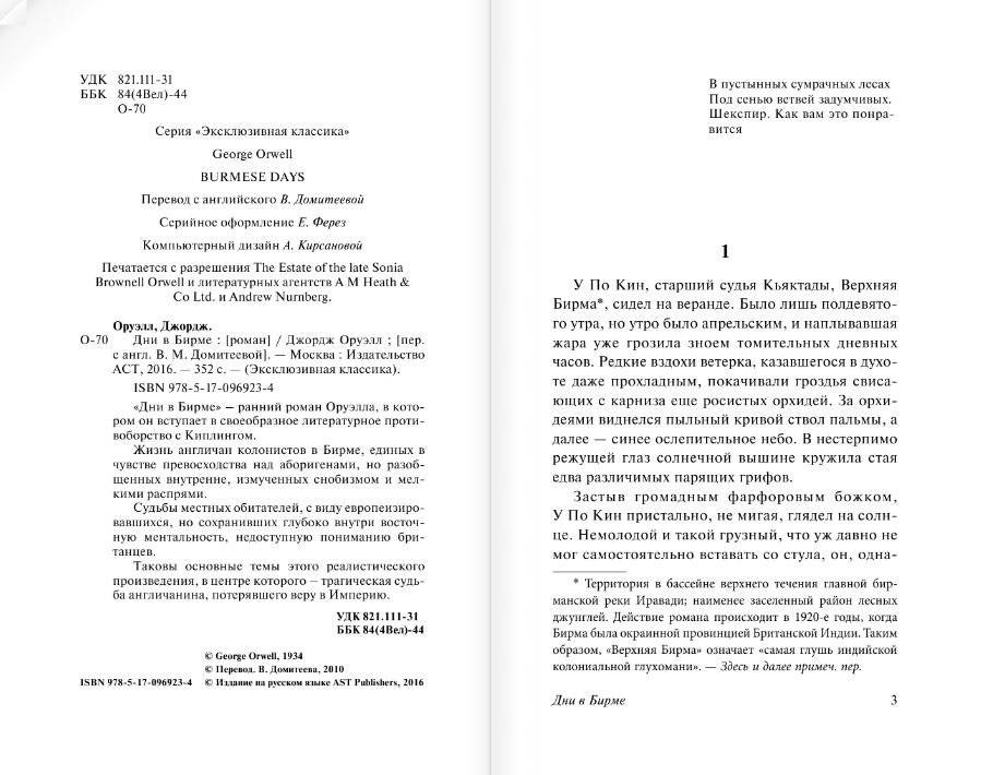 Дни в Бирме фото книги 4