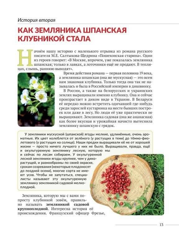 Эти невероятные плоды. Плодово-ягодные и орехоплодные культуры фото книги 3