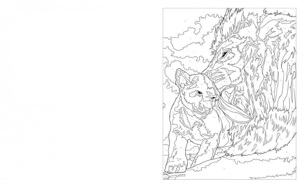 Colour by Numbers: Animal Kingdom фото книги 3