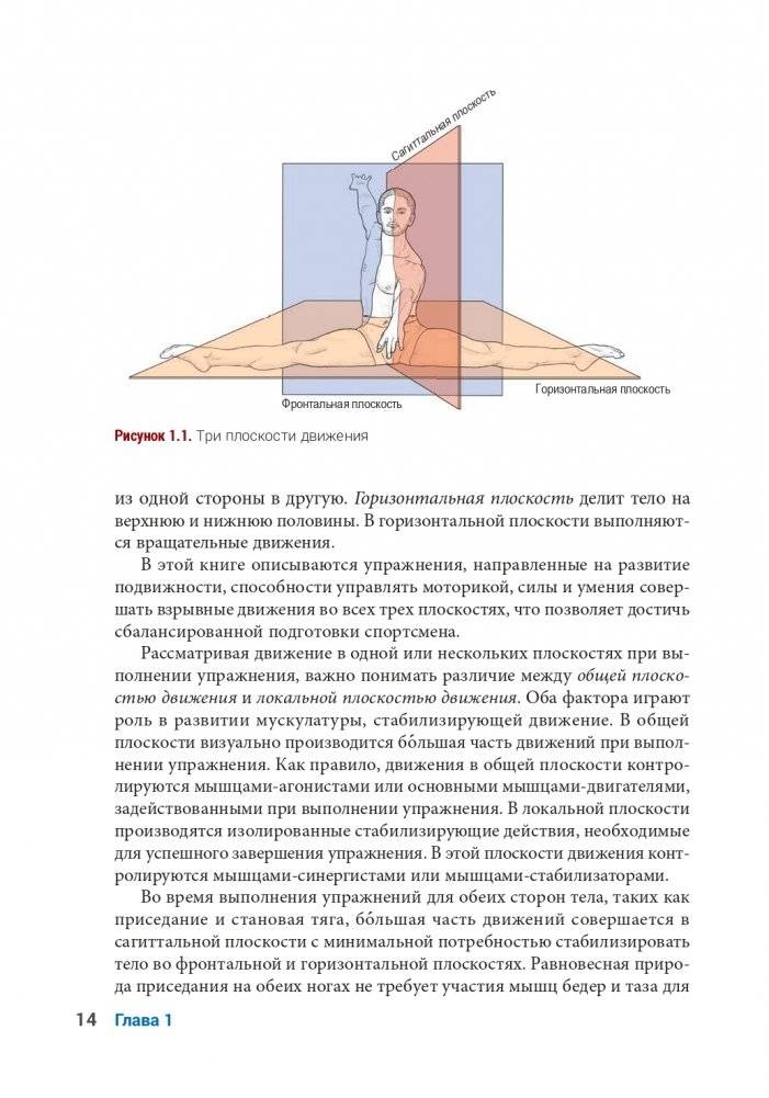 Анатомия функциональных тренировок фото книги 12