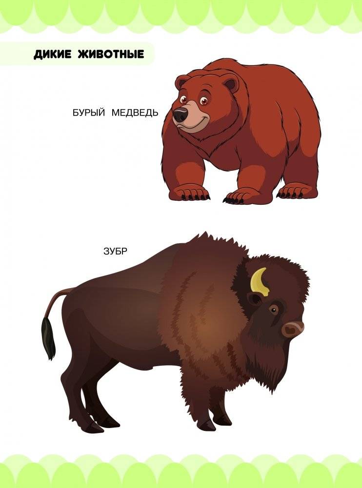 Всё о животных. Дикие и домашние животные фото книги 2