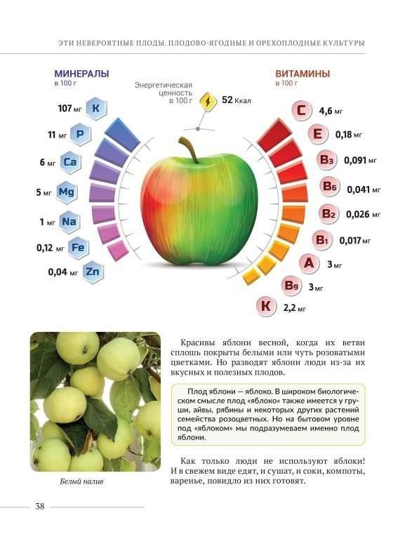 Эти невероятные плоды. Плодово-ягодные и орехоплодные культуры фото книги 6