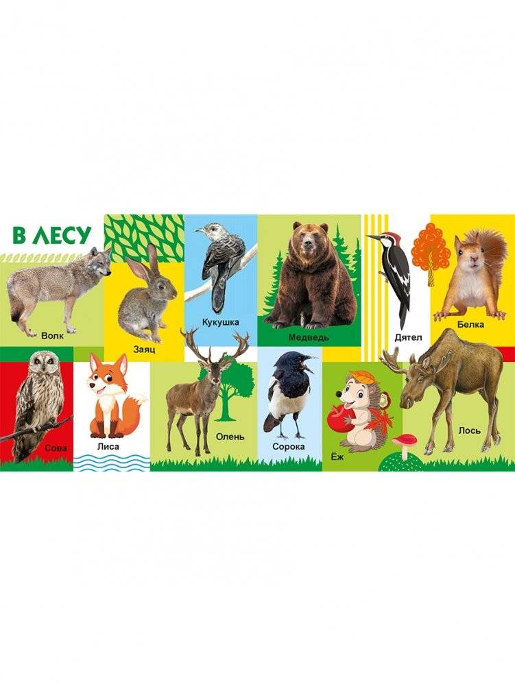 Твои любимые книжки. Животные фото книги 2