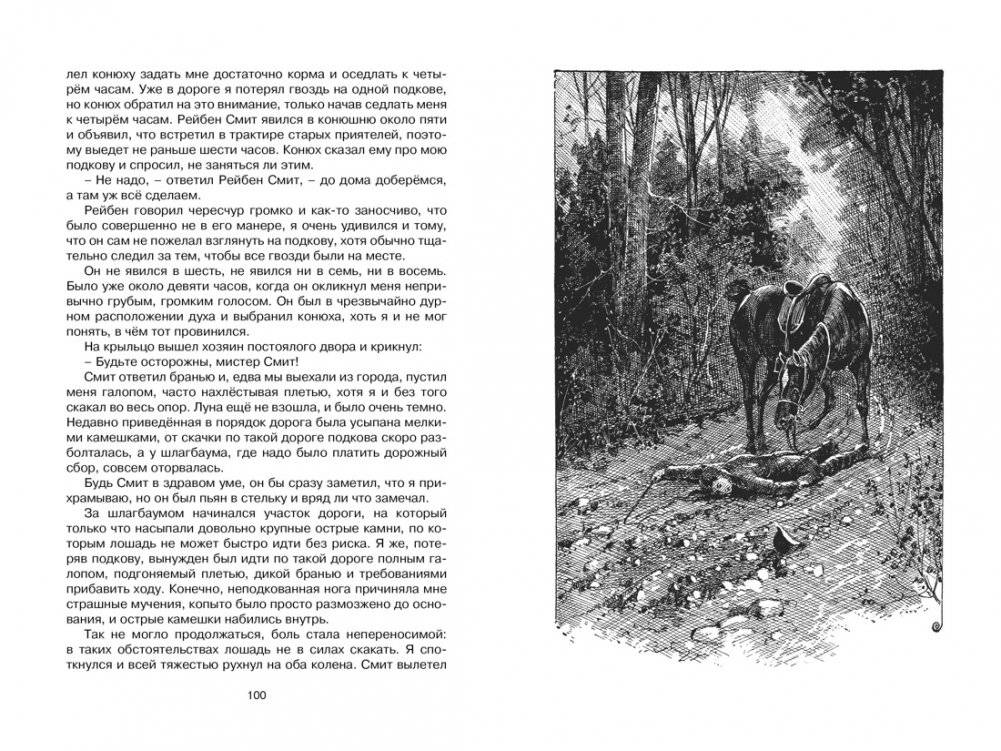 Чёрный Красавчик фото книги 3