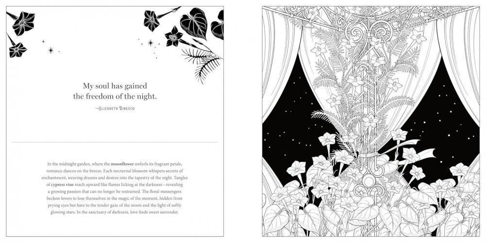 Floriographic: Midnight Garden фото книги 2