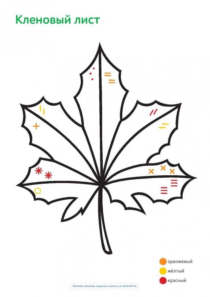 Рисуем орнаменты фото книги 6