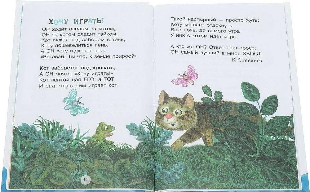 Мокрый нос, пушистый хвост фото книги 2