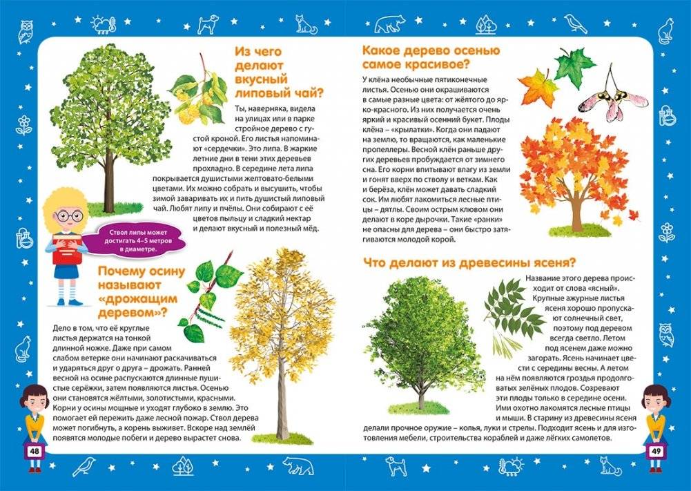 Детская энциклопедия в вопросах и ответах. Лучший подарок для девочки фото книги 5