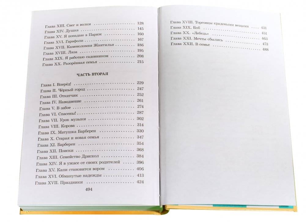 Без семьи фото книги 7