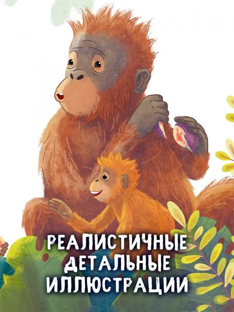 Малыш орангутанг. Приключения в тропиках фото книги 4