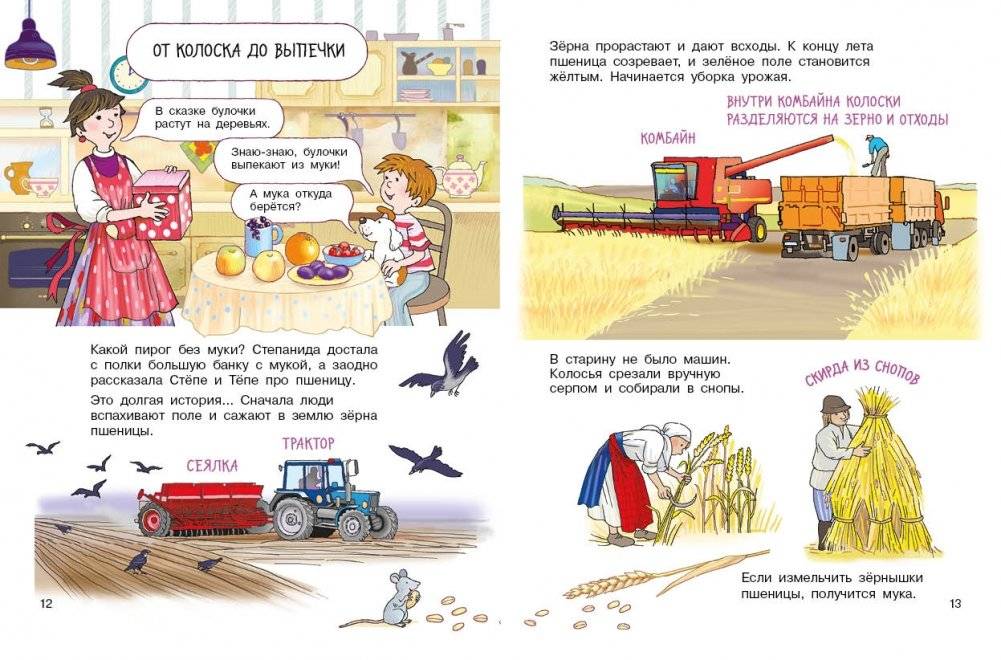 Суета вокруг пирога. Где мы были и что узнали фото книги 6