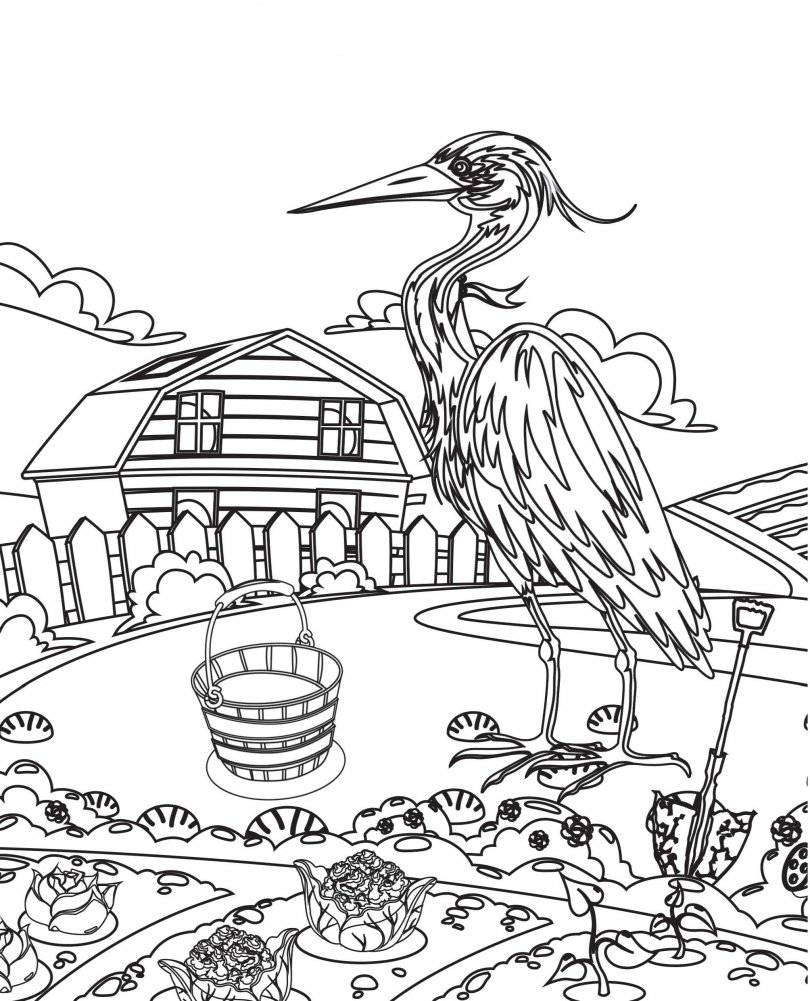 Раскраски из сказки. Птицы фото книги 4