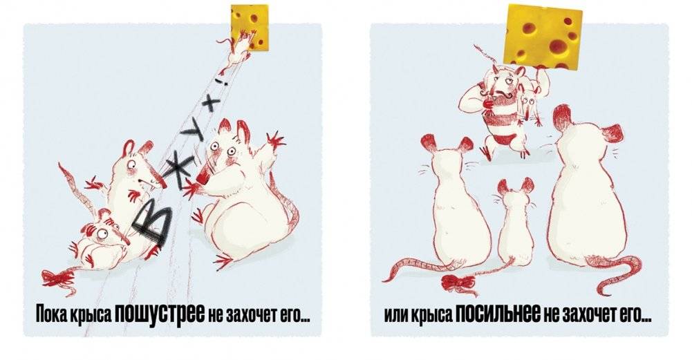 Сыр ваш! фото книги 6