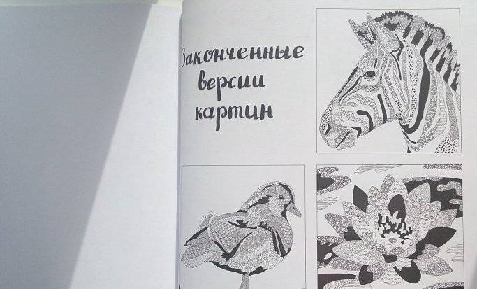 Узоромания. 25 необычных картин по номерам фото книги 7