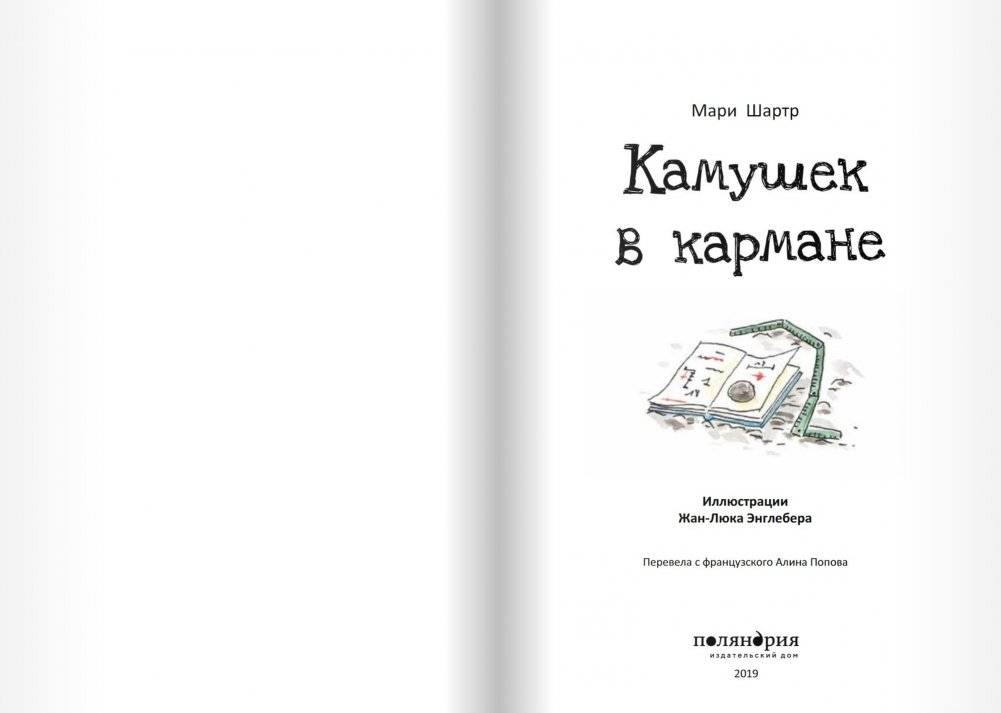 Камушек в кармане фото книги 3