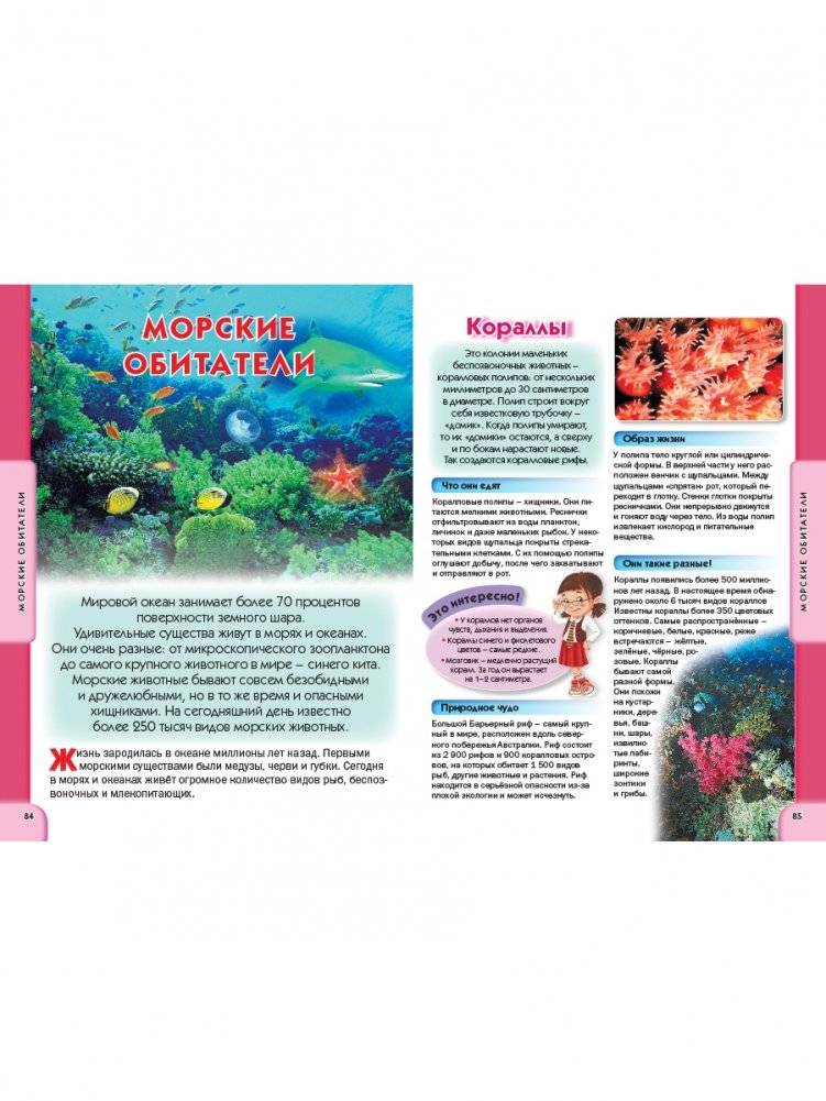 Детская энциклопедия для всезнаек от 6 до 12 лет фото книги 7