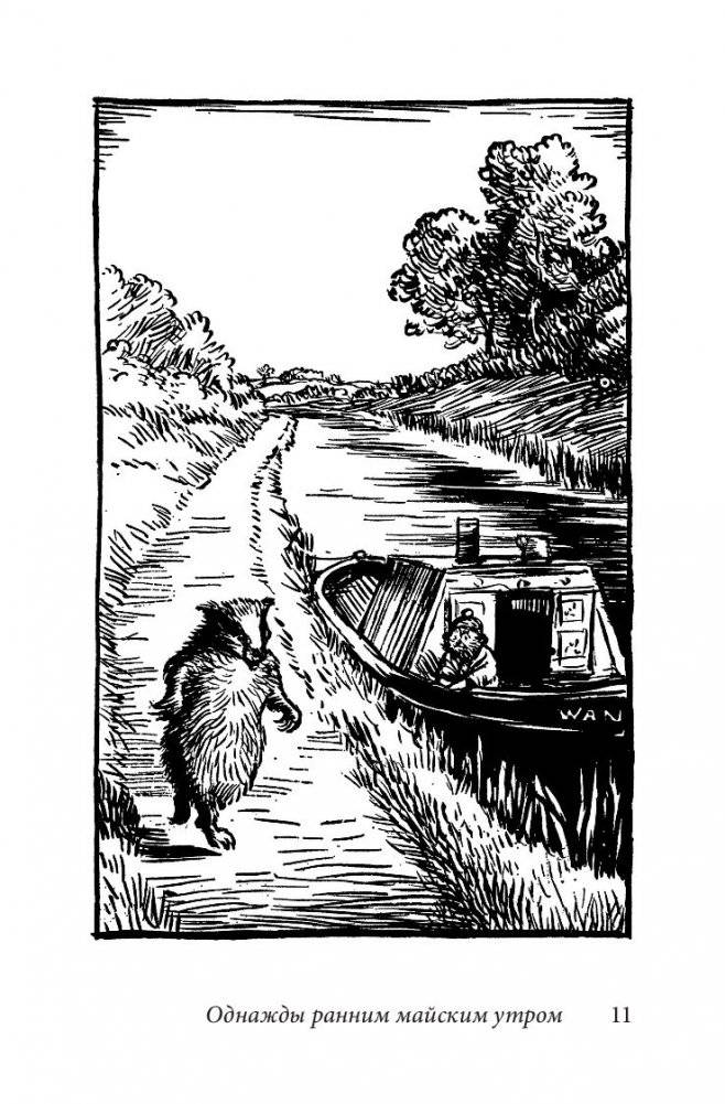 Билл Барсук и пираты. Книга 3 фото книги 9