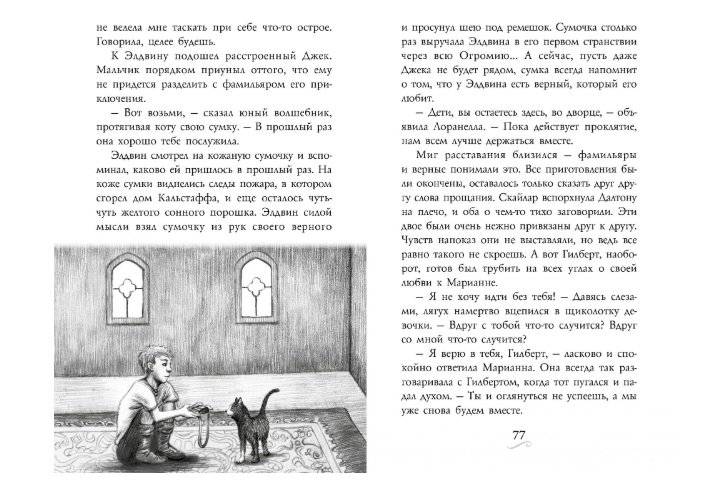 Фамильяры. Книга 2. Загадки Короны фото книги 4