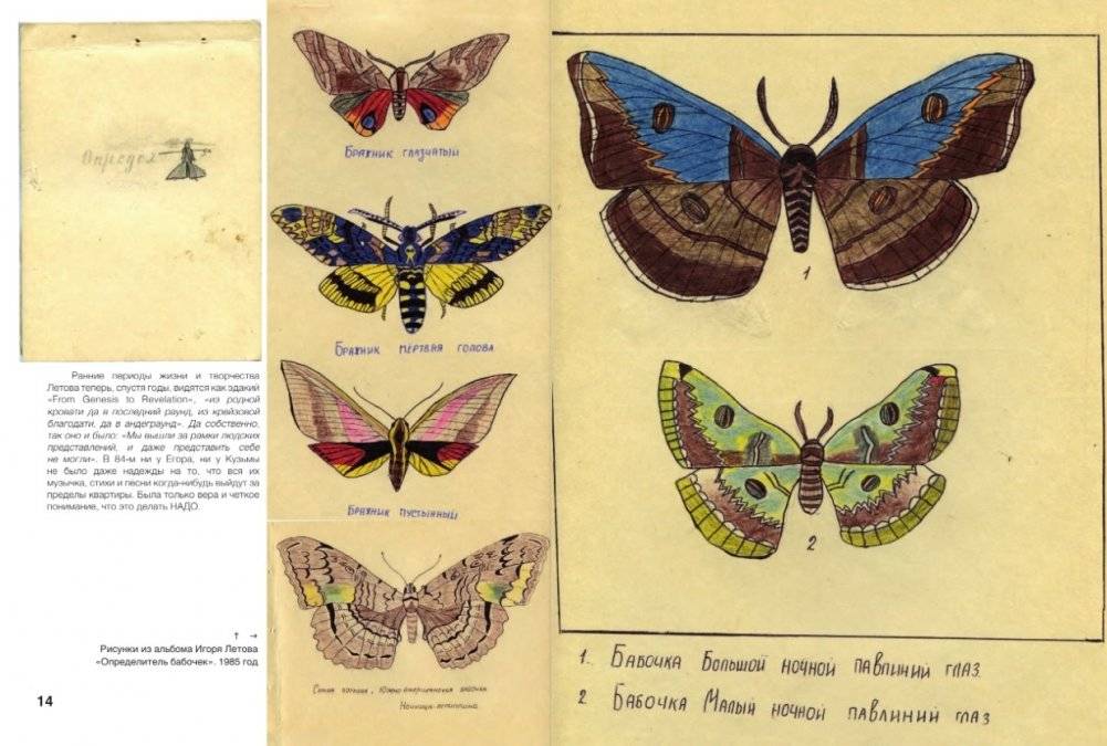 Егор Летов. Моя оборона фото книги 8