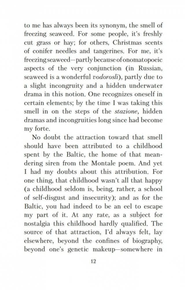 Набережная Неисцелимых. Watermark (билингва) фото книги 13