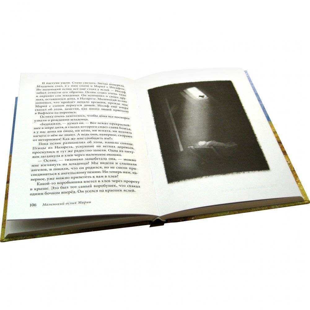 Маленький ослик Марии. Бегство в Египет фото книги 3