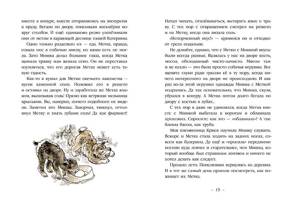 Муха с капризами. Сборник фото книги 2