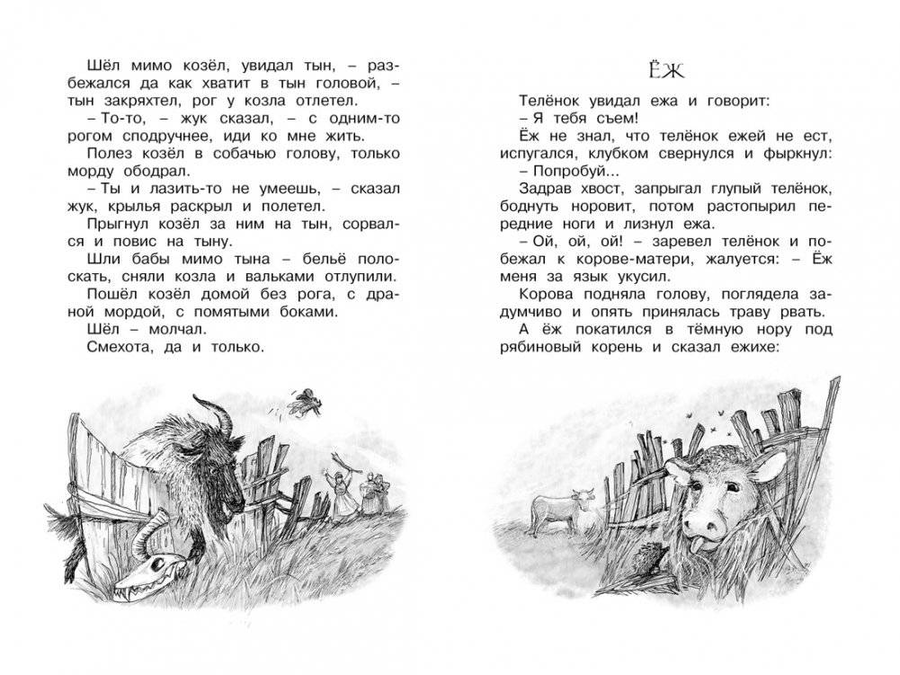 Сорочьи сказки фото книги 5