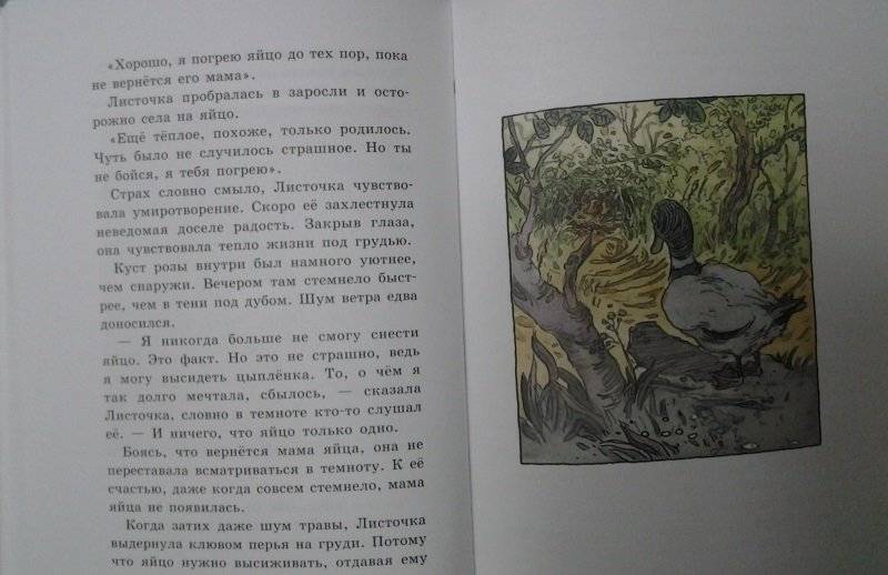Курочка, которая мечтала летать фото книги 6